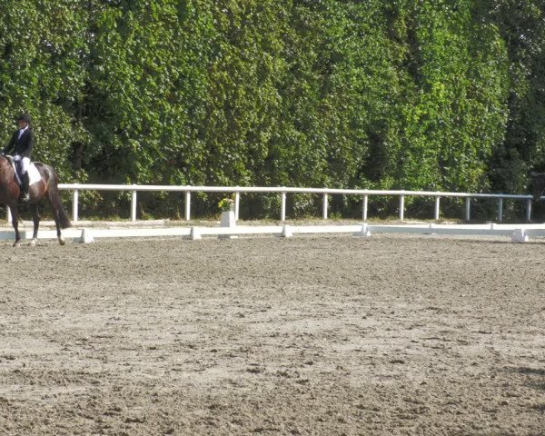 Reitturnier Zillhofen/Obb. 2023