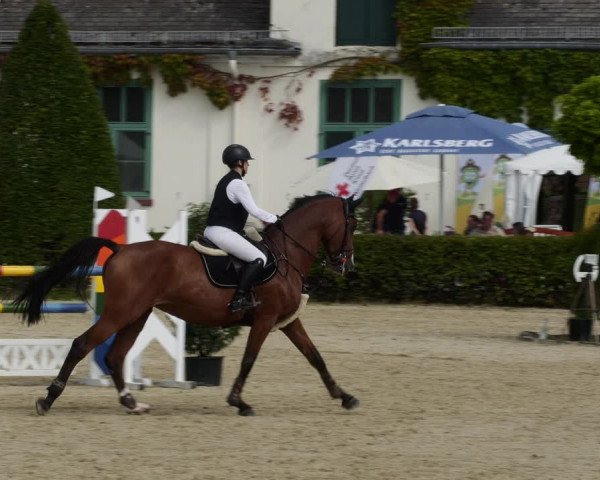 Reitturnier St.Wendel, Gestüt Welvert 2023