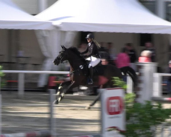 Reitturnier Werne 2023