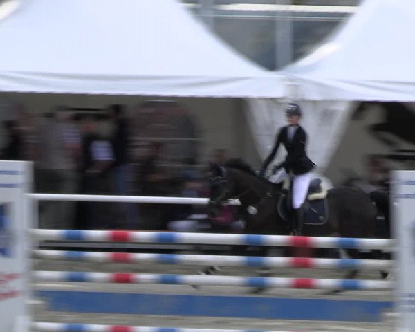 Reitturnier Werne 2023
