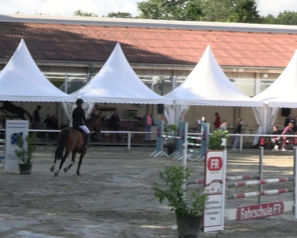 Reitturnier Werne 2023