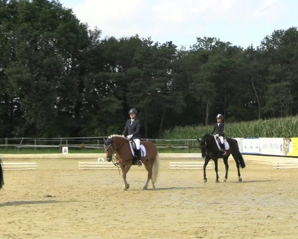 Reitturnier Ostbevern 2023