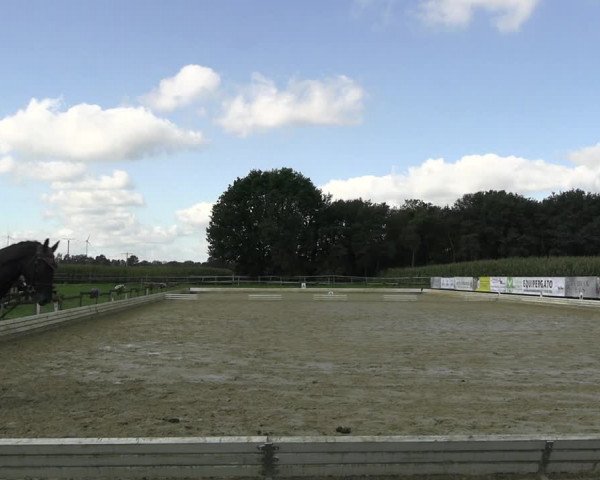 Reitturnier Ostbevern 2023