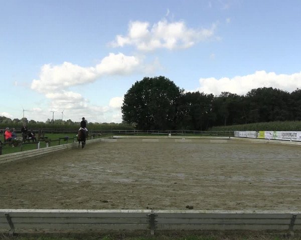 Reitturnier Ostbevern 2023