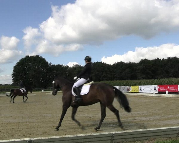 Reitturnier Ostbevern 2023