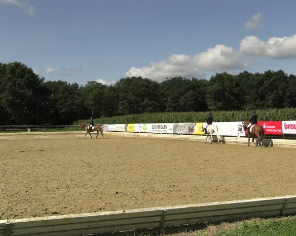 Reitturnier Ostbevern 2023