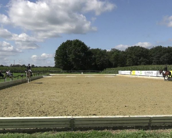 Reitturnier Ostbevern 2023