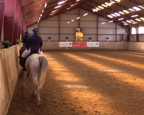 Reitturnier Kleinsolt 2023