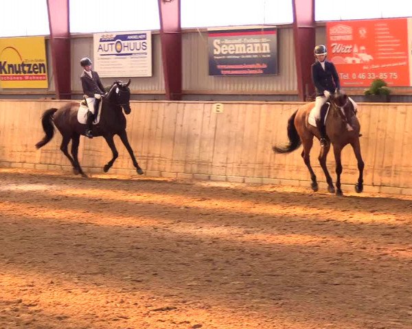 Reitturnier Kleinsolt 2023