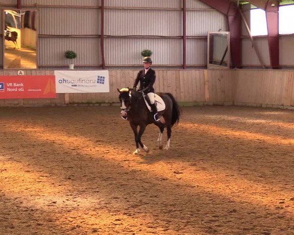 Reitturnier Kleinsolt 2023