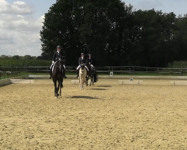 Reitturnier Ostbevern 2023
