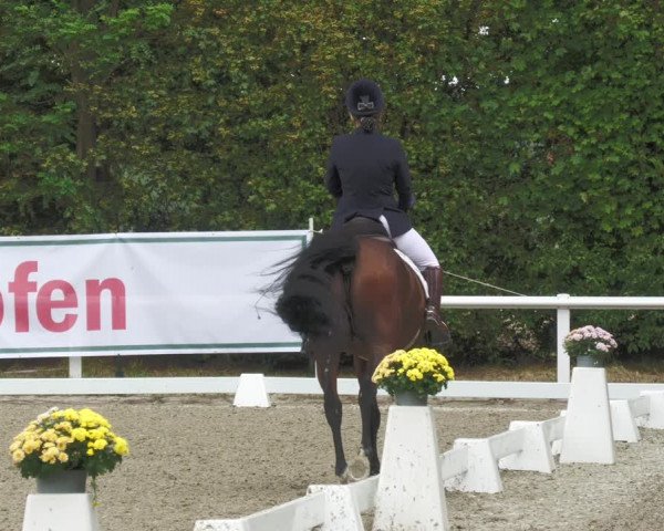 Reitturnier Zillhofen/Obb. 2023