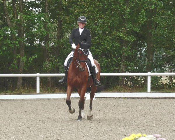Reitturnier Zillhofen/Obb. 2023