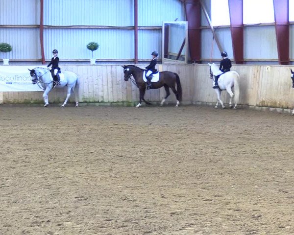 Reitturnier Kleinsolt 2023