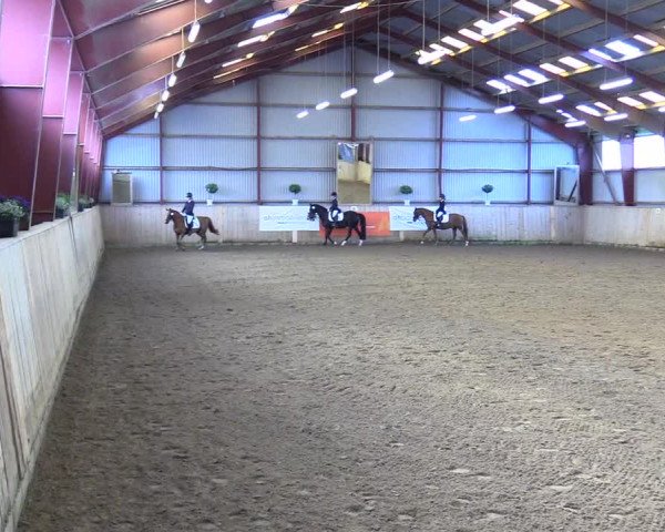 Reitturnier Kleinsolt 2023