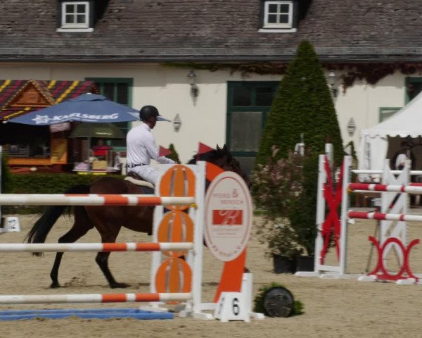 Reitturnier St.Wendel, Gestüt Welvert 2023