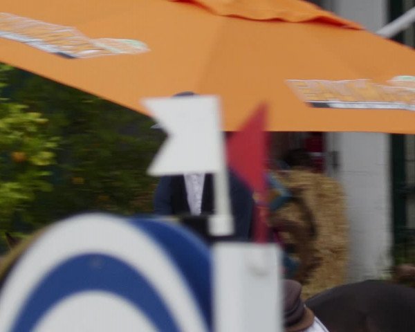 Reitturnier St.Wendel, Gestüt Welvert 2023
