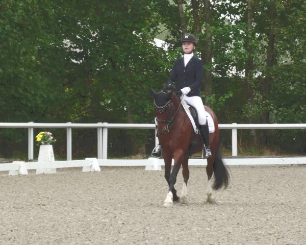 Reitturnier Zillhofen/Obb. 2023