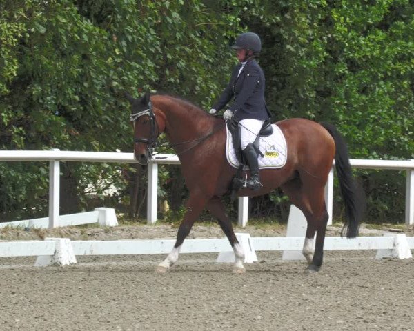 Reitturnier Zillhofen/Obb. 2023