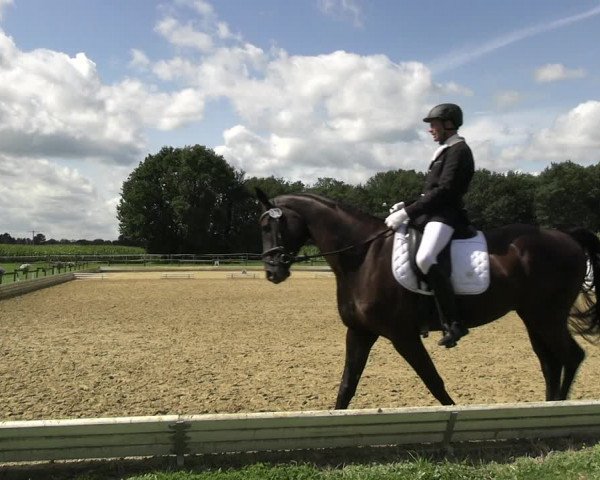 Reitturnier Ostbevern 2023