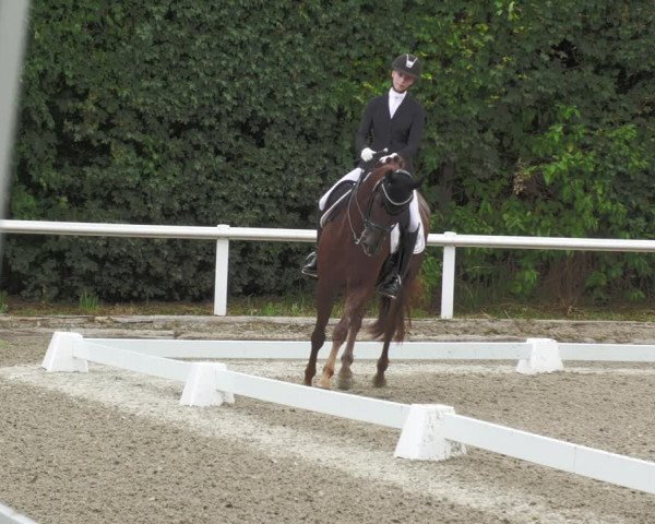Reitturnier Zillhofen/Obb. 2023