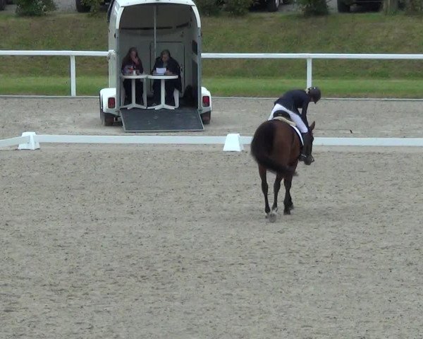 Reitturnier Bülach 2023