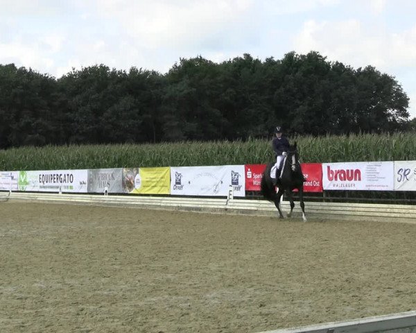 Reitturnier Ostbevern 2023
