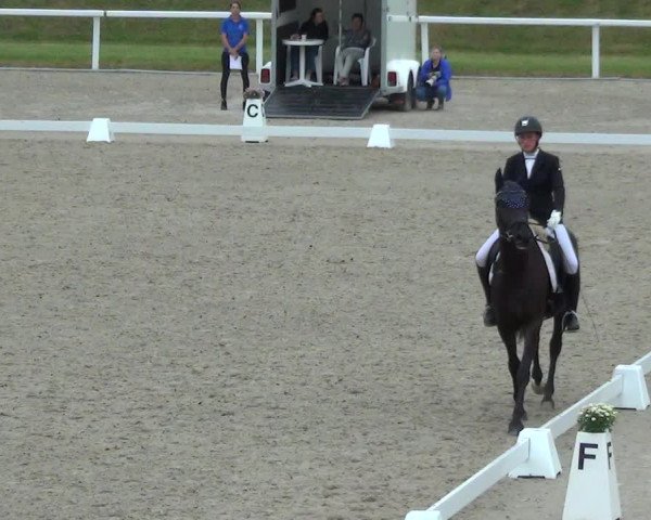 Reitturnier Bülach 2023