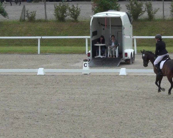 Reitturnier Bülach 2023