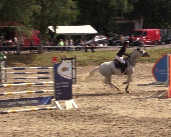 Reitturnier Lgl.-Oberhain, B95 2021