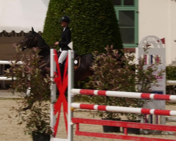 Reitturnier St.Wendel, Gestüt Welvert 2023