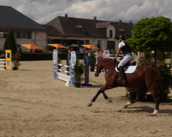 Reitturnier St.Wendel, Gestüt Welvert 2023