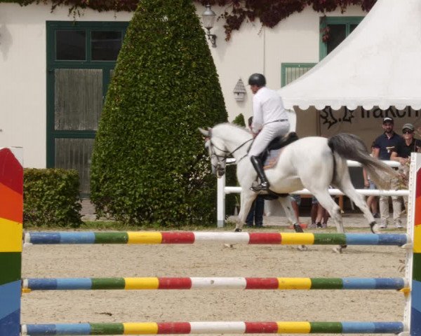 Reitturnier St.Wendel, Gestüt Welvert 2023