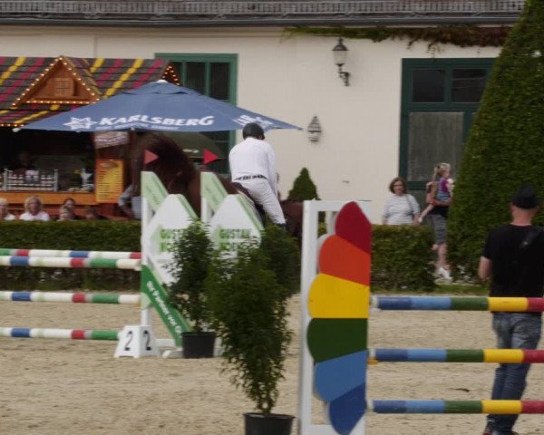 Reitturnier St.Wendel, Gestüt Welvert 2023