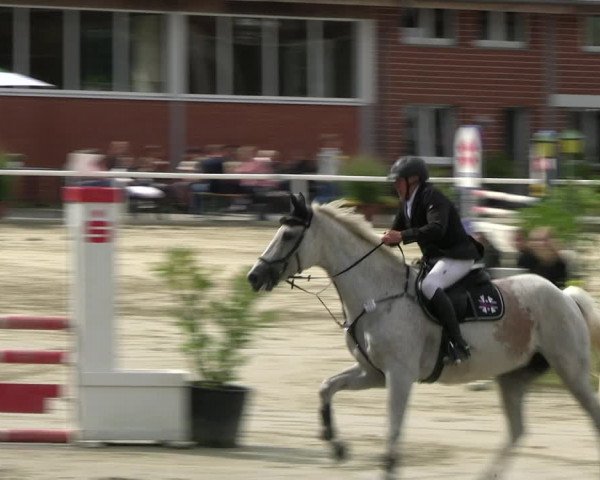 Reitturnier Werne 2023