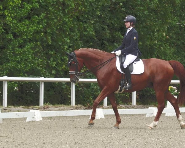 Reitturnier Zillhofen/Obb. 2023