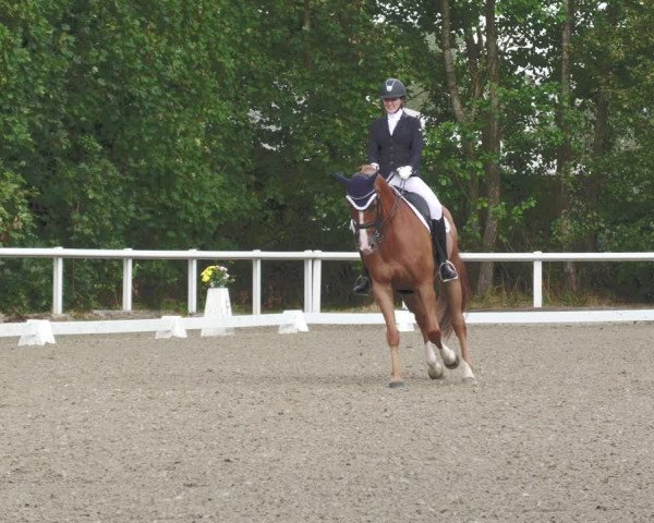 Reitturnier Zillhofen/Obb. 2023