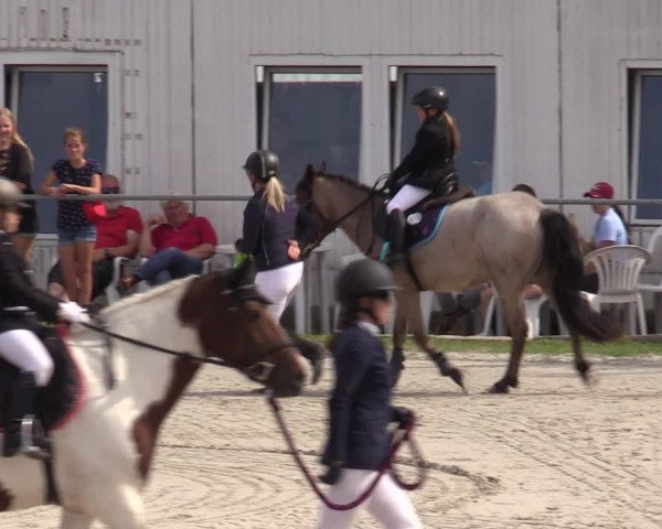 Reitturnier Pietzpuhl 2023