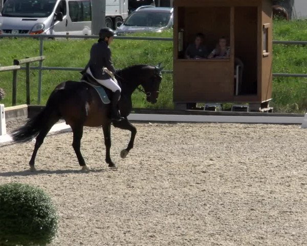 Reitturnier Werdenberg 2023