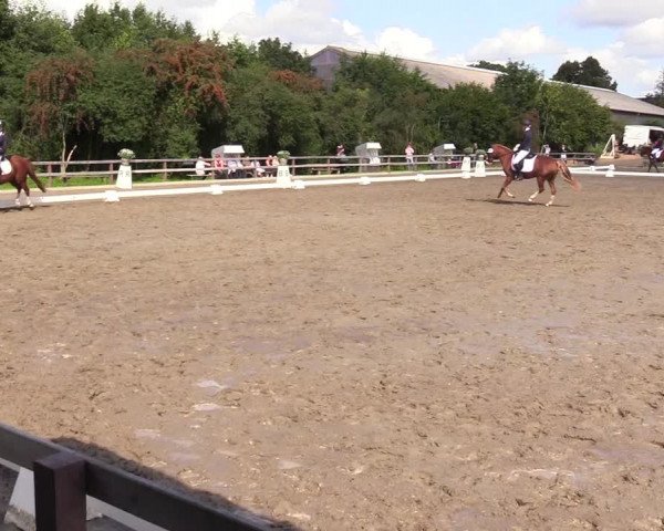 Reitturnier Kleinsolt 2023