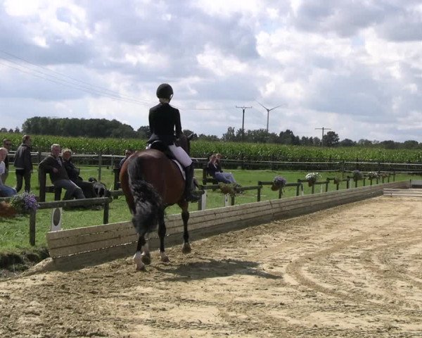 Reitturnier Ostbevern 2023