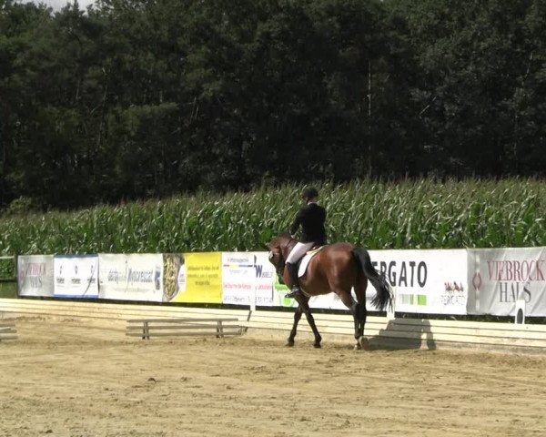 Reitturnier Ostbevern 2023