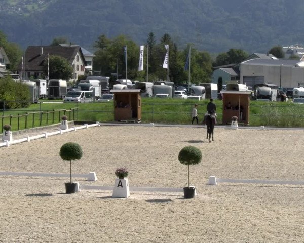 Reitturnier Werdenberg 2023
