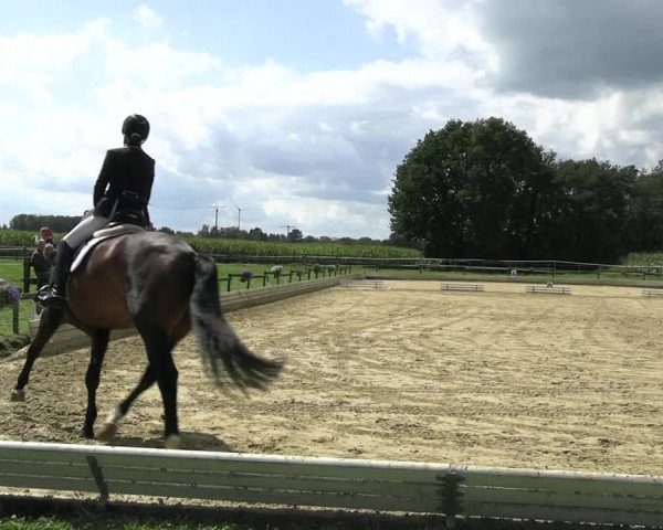 Reitturnier Ostbevern 2023