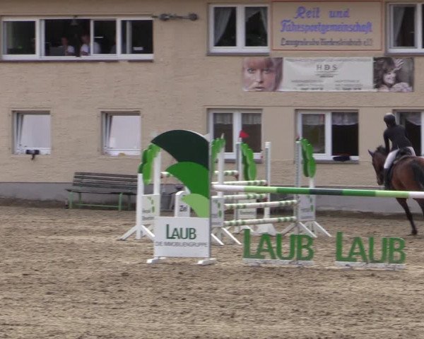 Reitturnier Lgl.-Oberhain, B95 2021