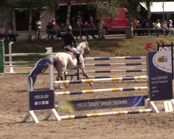 Reitturnier Lgl.-Oberhain, B95 2021