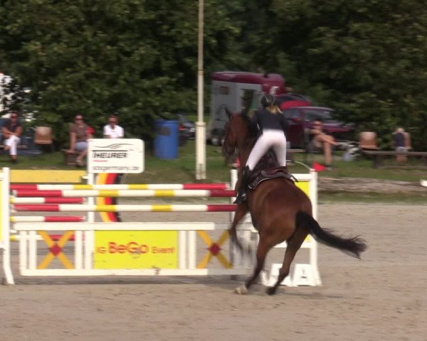 Reitturnier Pietzpuhl 2023