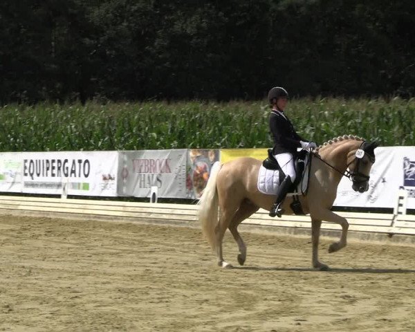 Reitturnier Ostbevern 2023