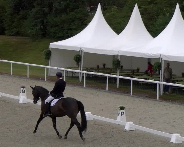 Reitturnier Bülach 2023