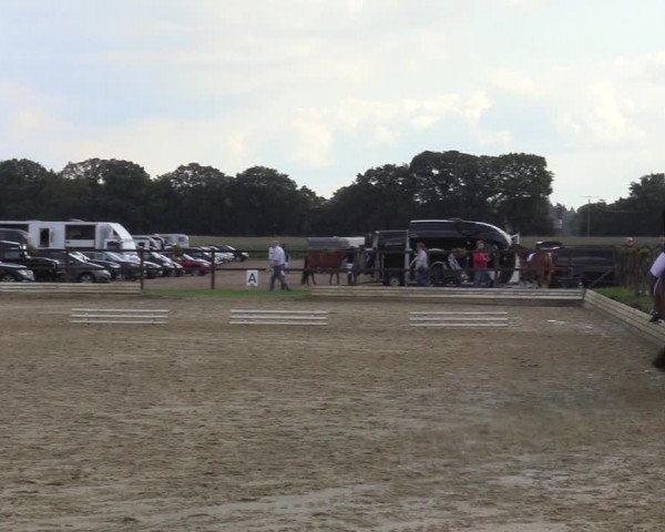 Reitturnier Ostbevern 2023